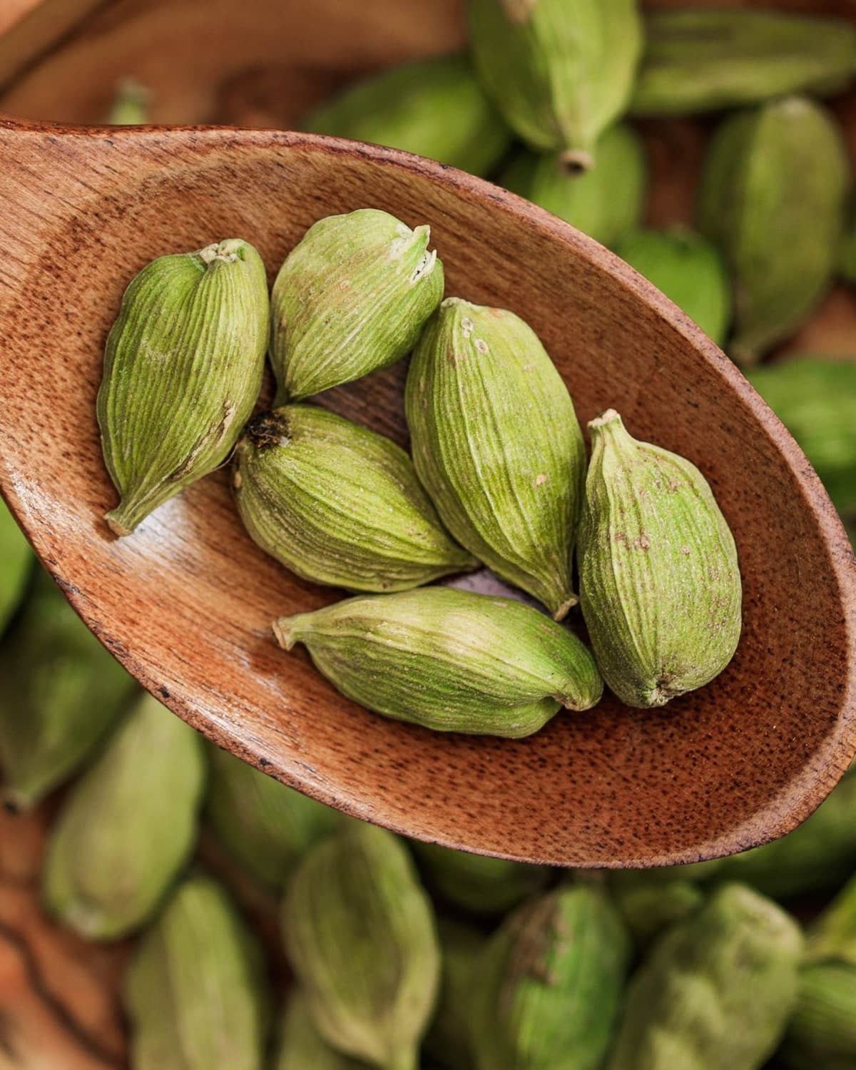 BM green cardamom pods in a wooden spoon