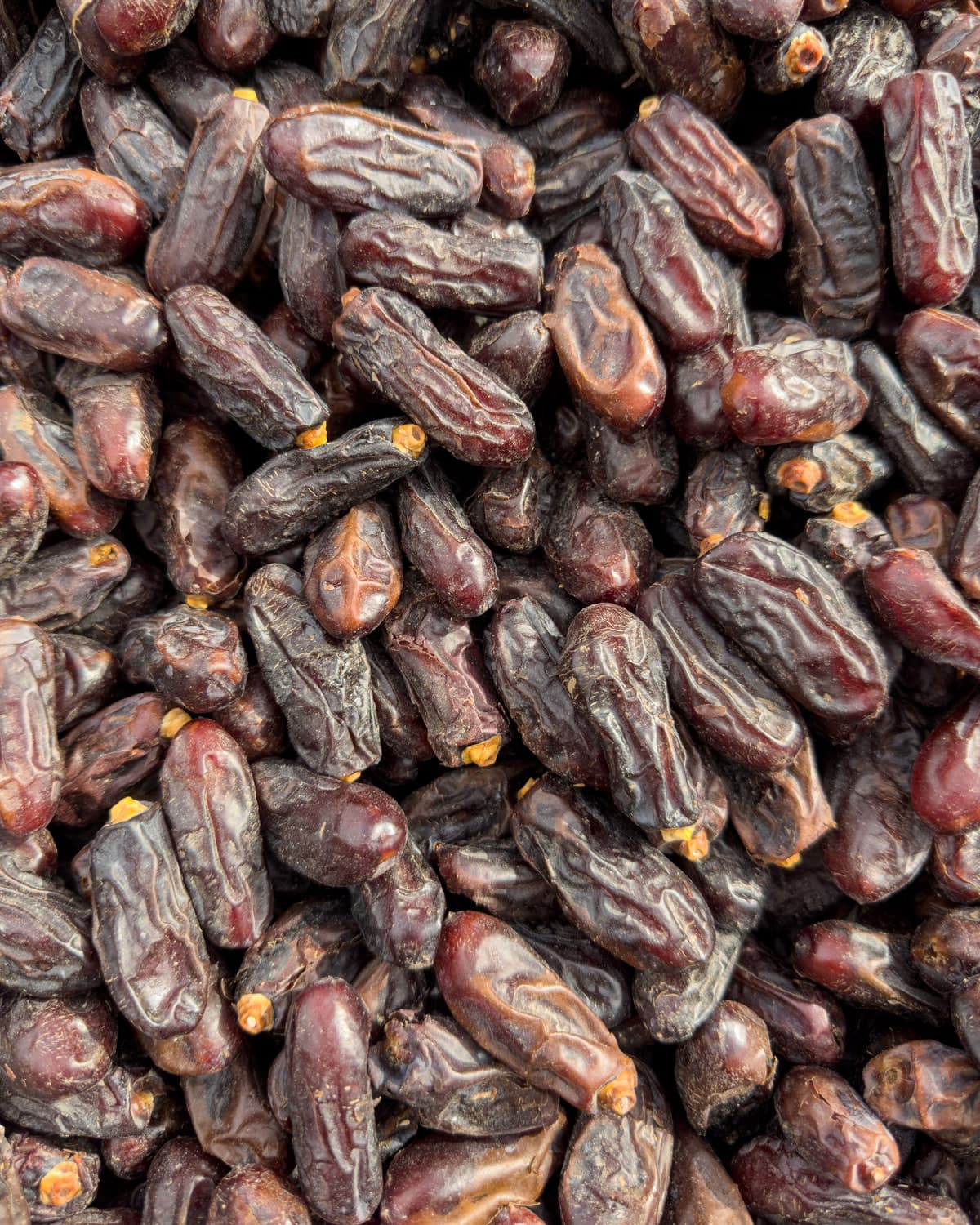 BM chuhara, dried dates, close up