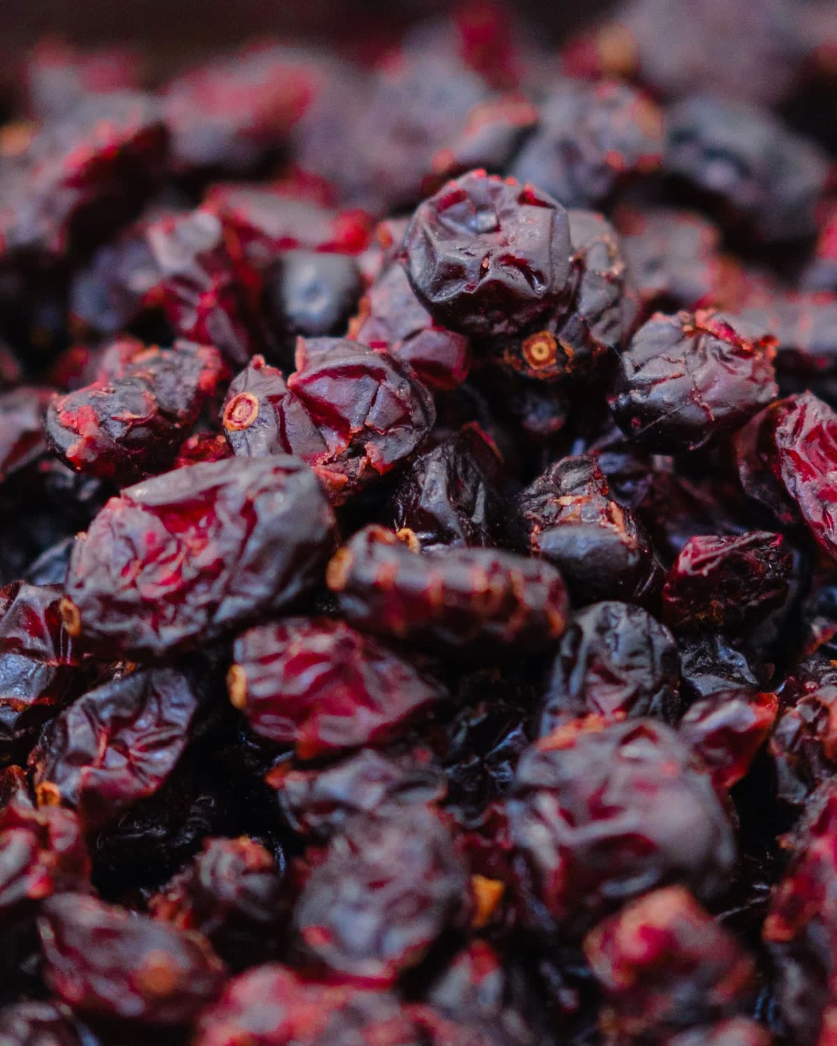 BM dried cranberries, close up