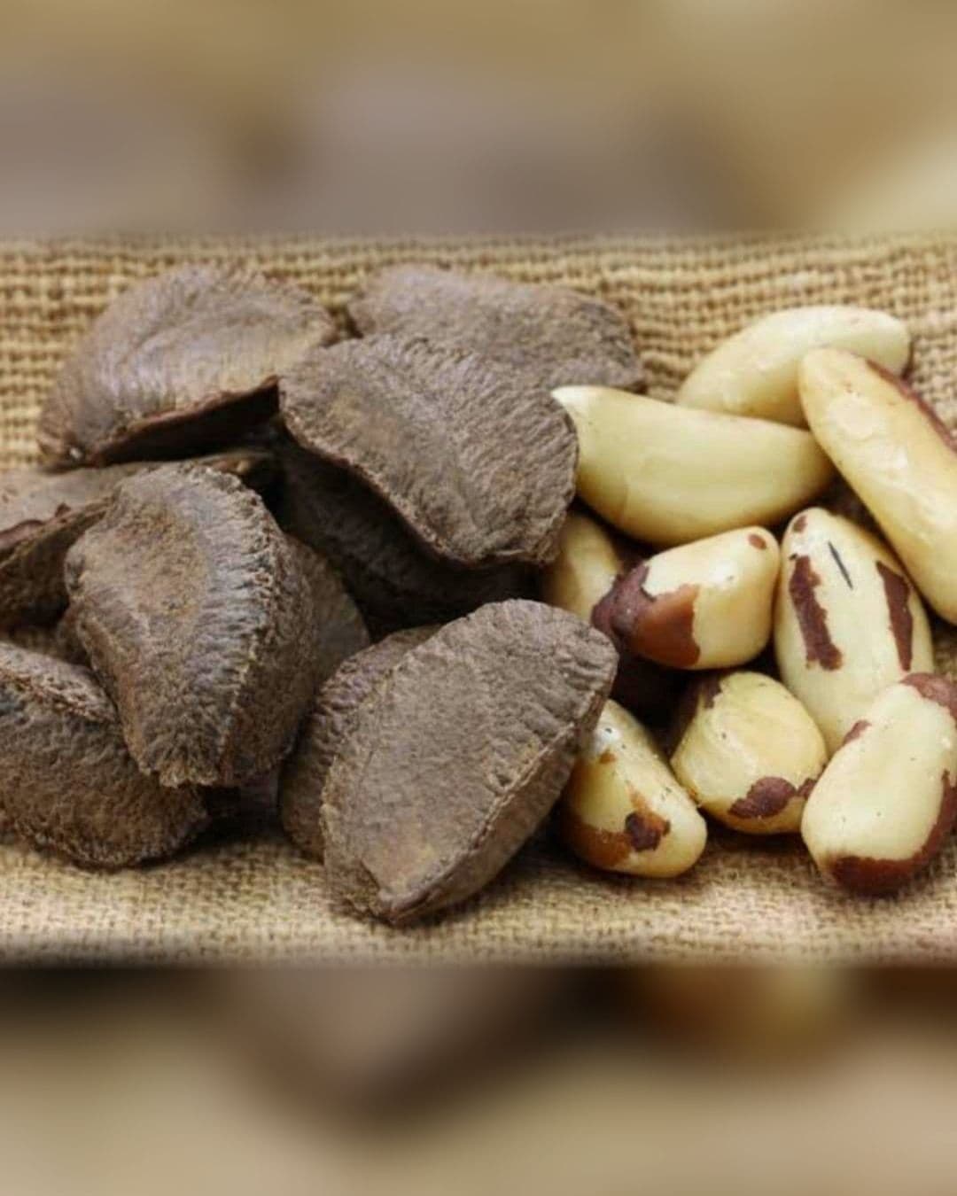 BM Brazil nuts, shelled and in the shell