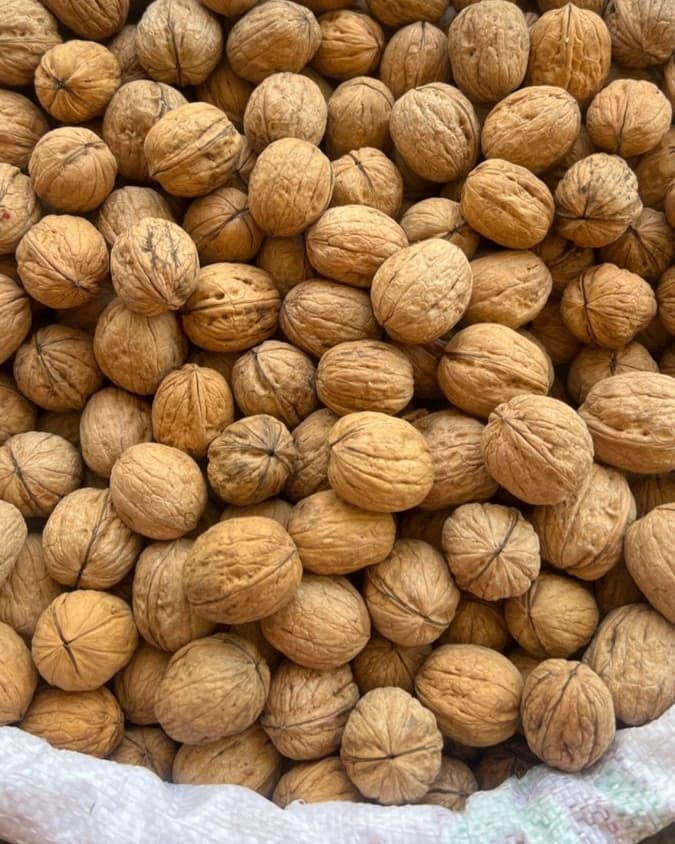 A sack full of BM desi walnuts in the shell