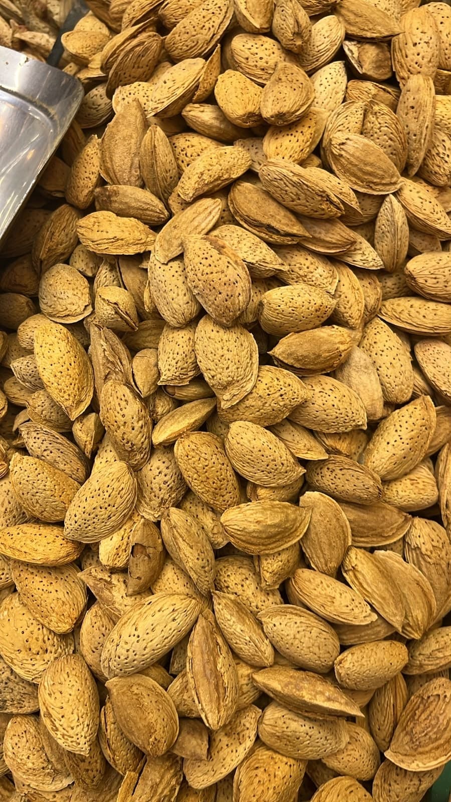 BM kagzi badam, almonds in the shell