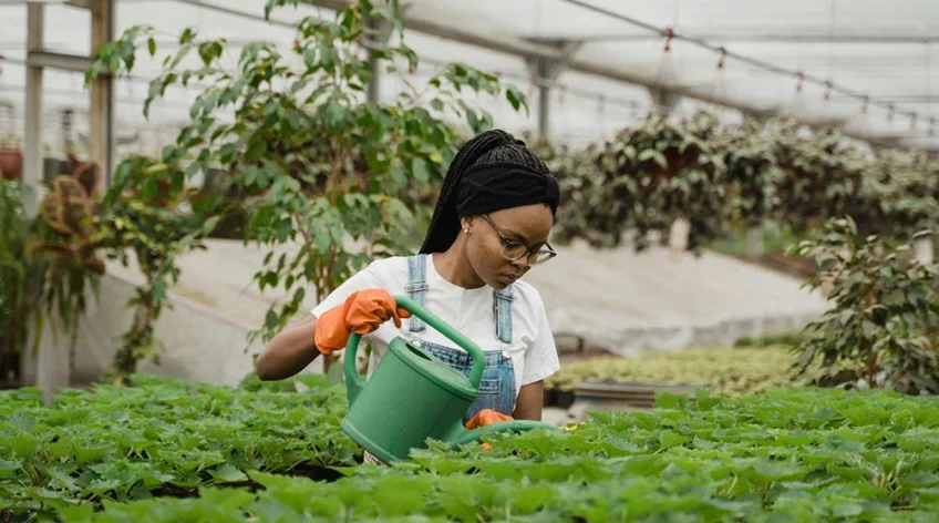 Ultrices sagittis orci a scelerisque purus semper eget duis at. Sollicitudin nibh sit amet.