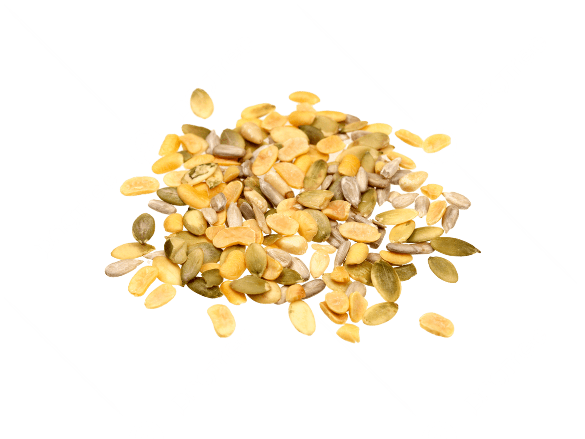 Premium Mixed Seeds Pack in Pakistan – Healthy Superfood Blend - Image 2